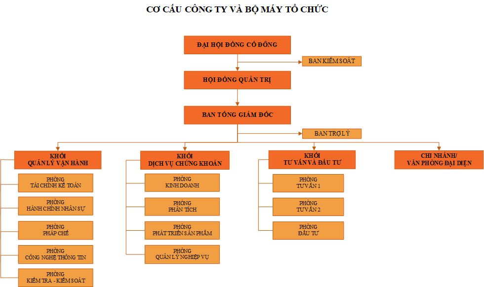 Cơ cấu tổ chức